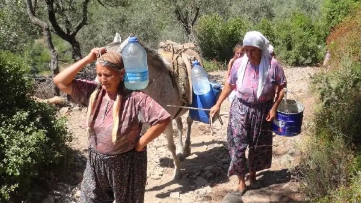 Köylüler, Evlerine Eşeklerle Su Taşıyorlar.