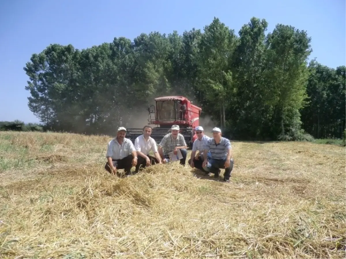 Tarımda 2014 Yılı Temmuz Ayı Faaliyetleri Açıklandı