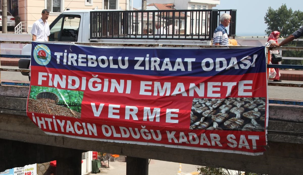 Tirebolu Ziraat Odası Başkanı Yaman Açıklaması