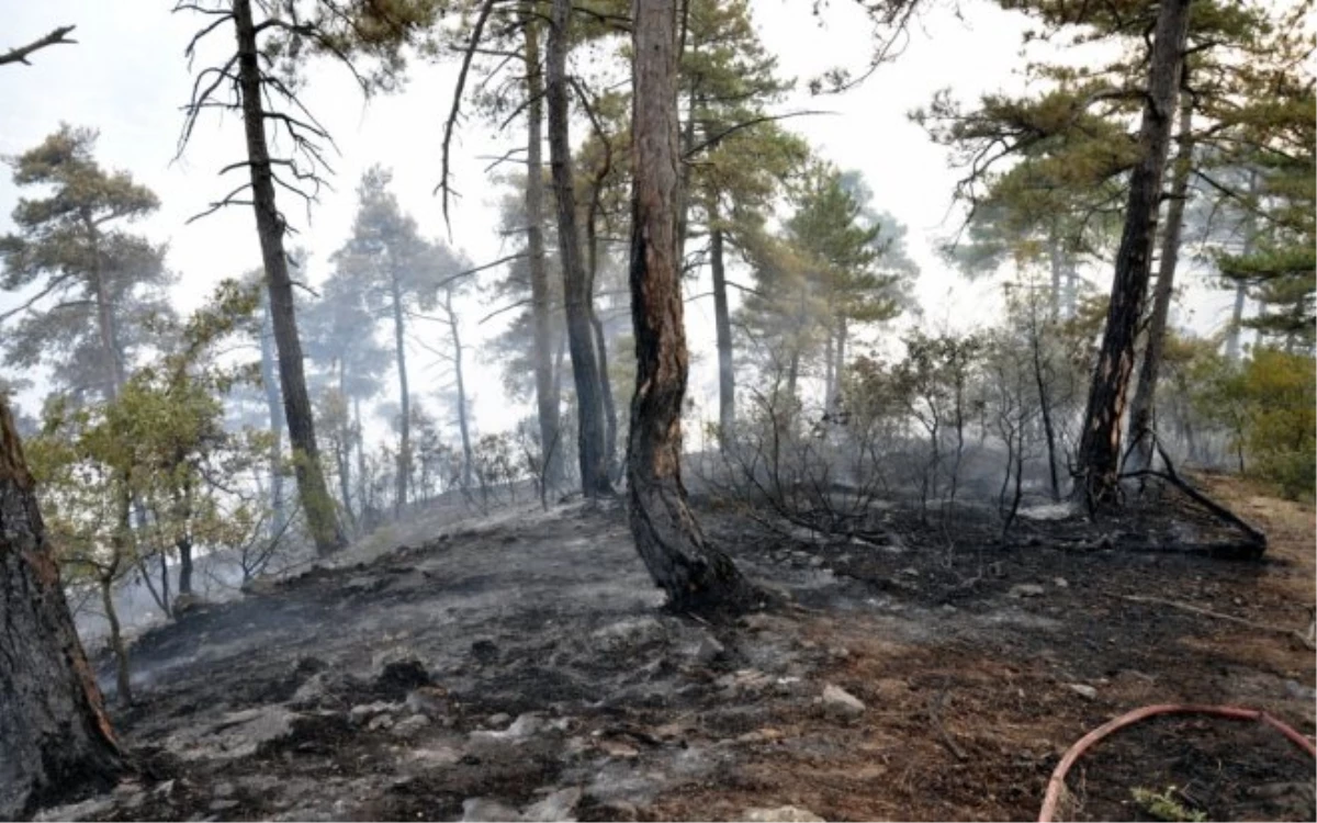 Tunceli\'deki Yangın Kontrol Altına Alındı, Soğutma Sürüyor