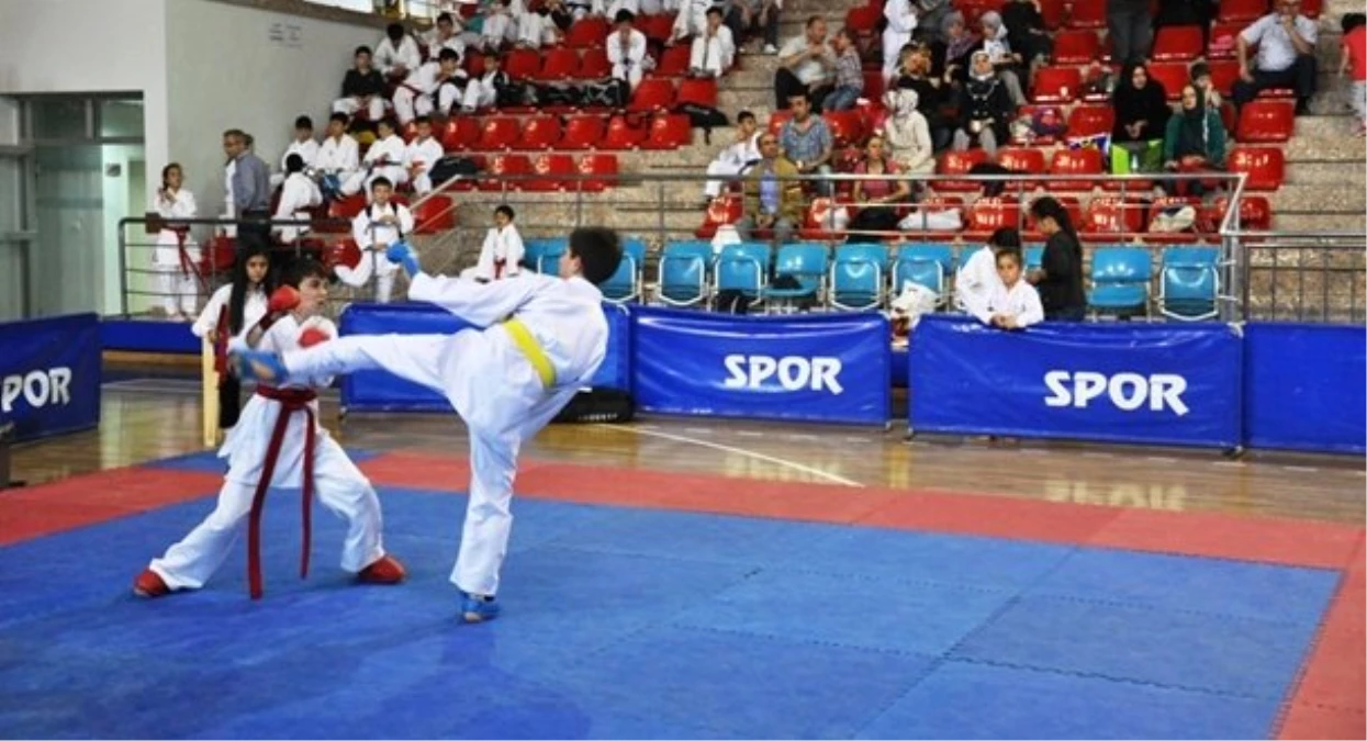 Doğu ve Güneydoğu İlleri Karate Turnuvası\'na Doğru