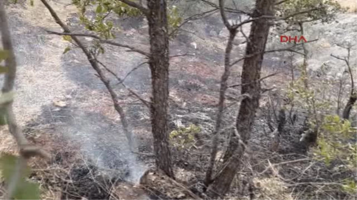 Elazığ\'da 2 Ayrı Orman Yangını