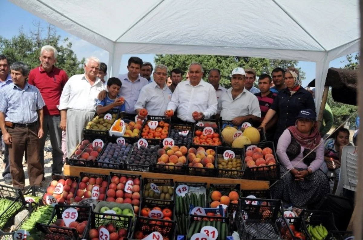 Erdemli\'de Yayla Köyleri Yaş Sebze ve Meyve Festivali Coşkusu