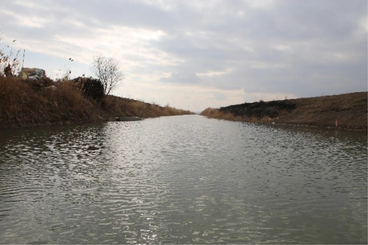 Göçmen Kuşlar Delta Yerine Su Kanallarını Tercih Etti