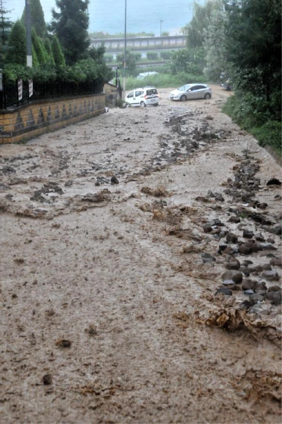 Rize\'de Şiddetli Yağış Etkili Oldu