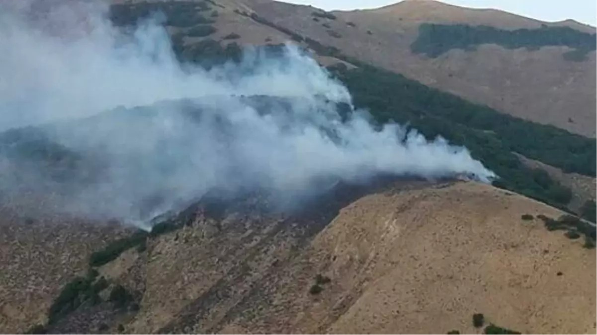 Tunceli\'de Orman Yangını