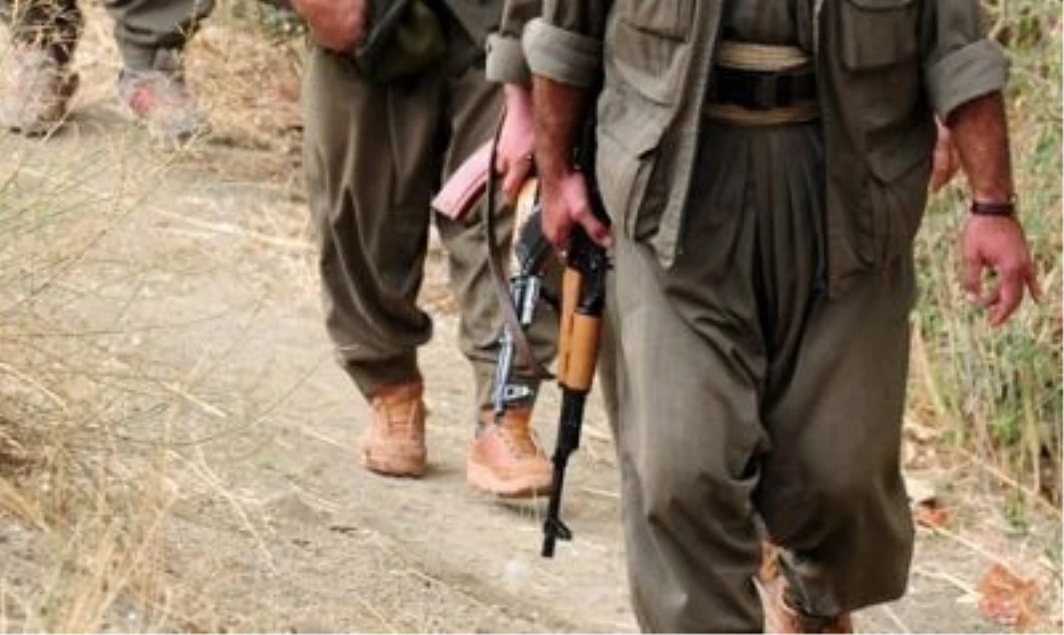 3 PKK\'lı Teslim Oldu