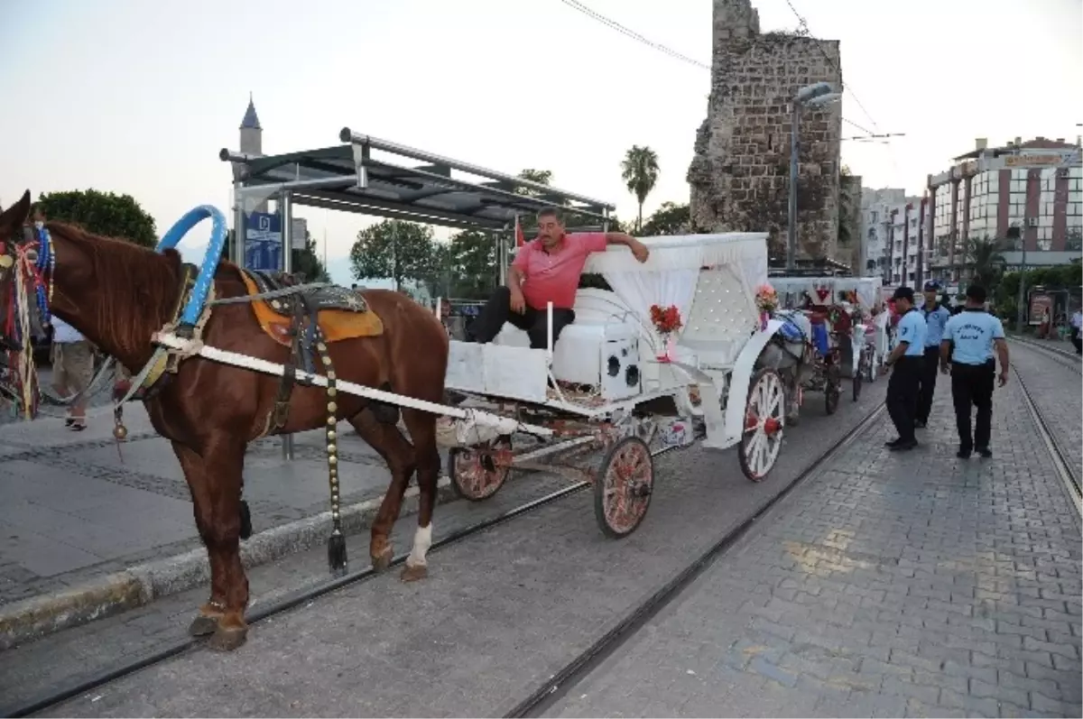 Antalya Büyükşehir Belediyesinden Faytonlara Yönetmelik Çalışması