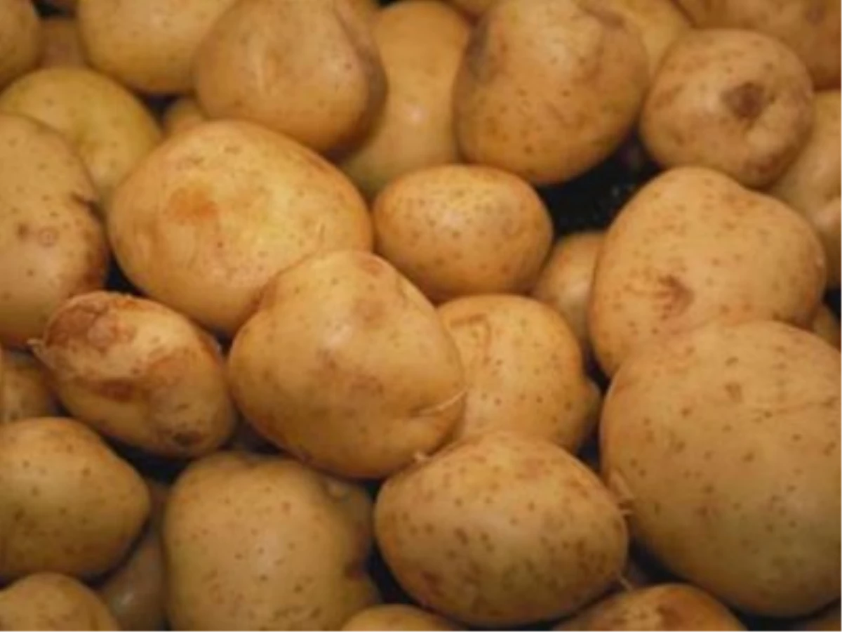 Nevşehir Ziraat Odası: Patatesin Fiyatı Düşecek