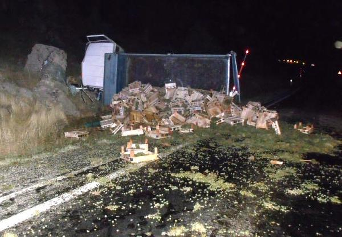 Göksun\'da Üzüm Yüklü Kamyonet Devrildi: 2 Yaralı