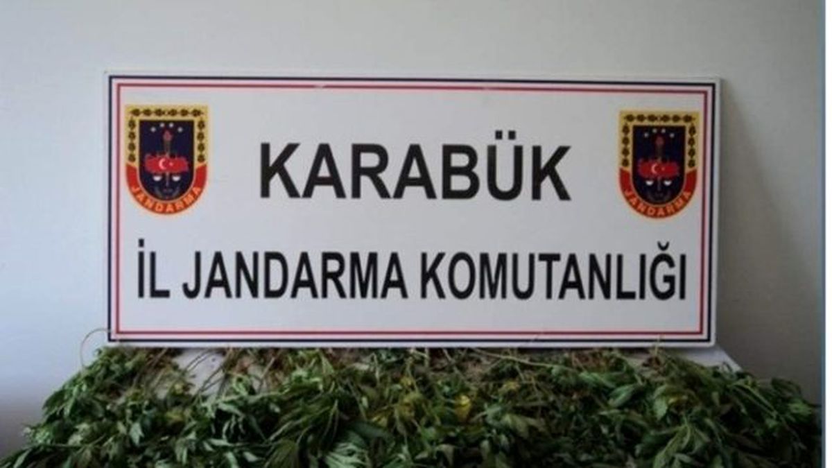 Jandarmadan Kenevir Operasyonu