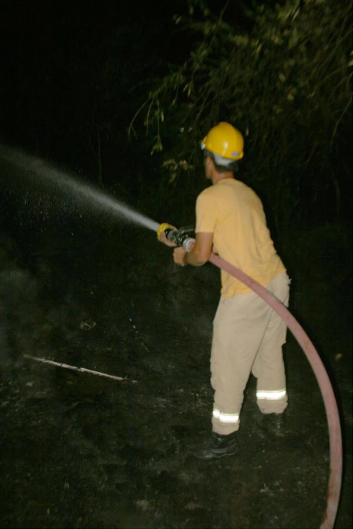 Oteller Bölgesinde Çıkan Yangın Korkuttu