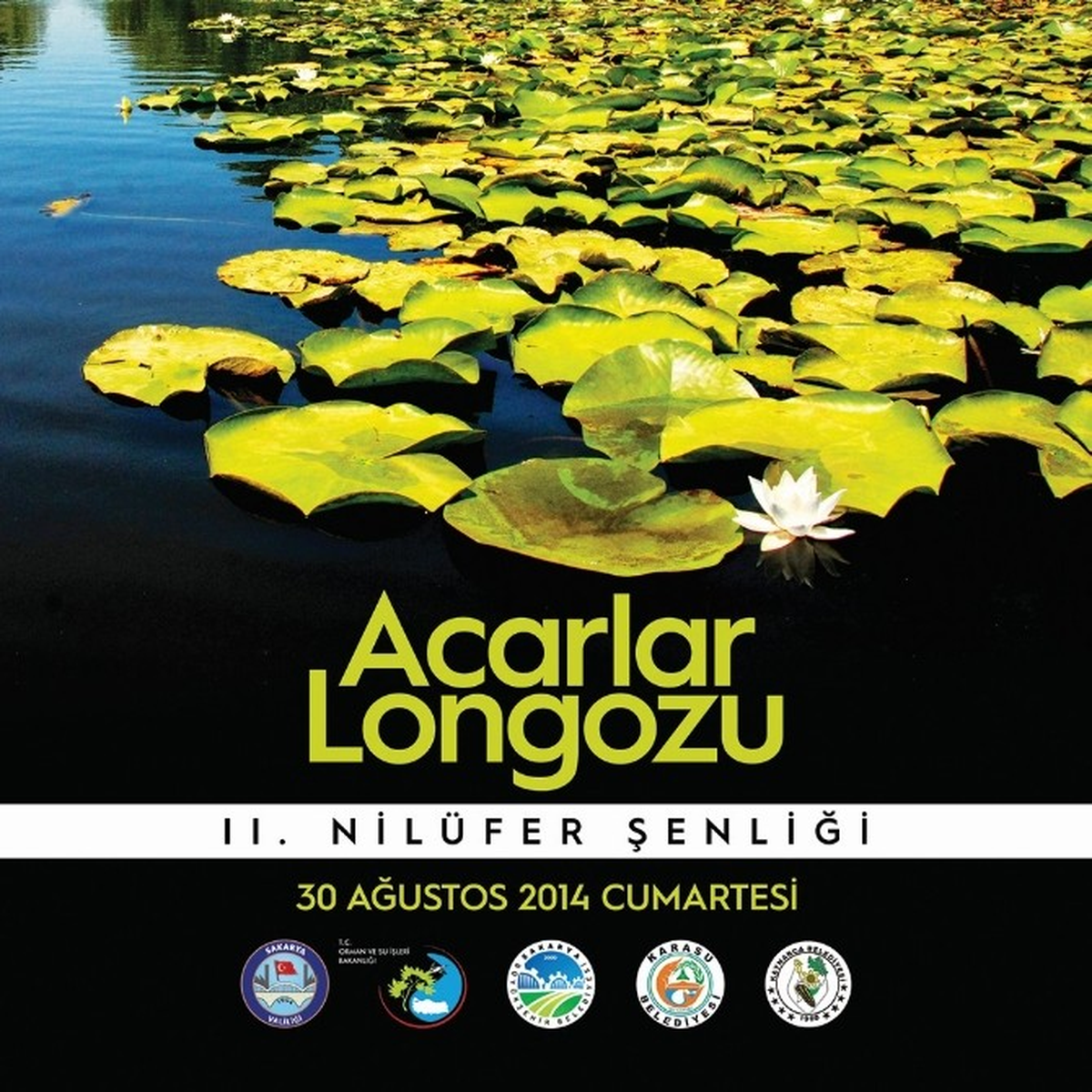 Acarlar Longozu 11. Nilüfer Şenliği Başlıyor