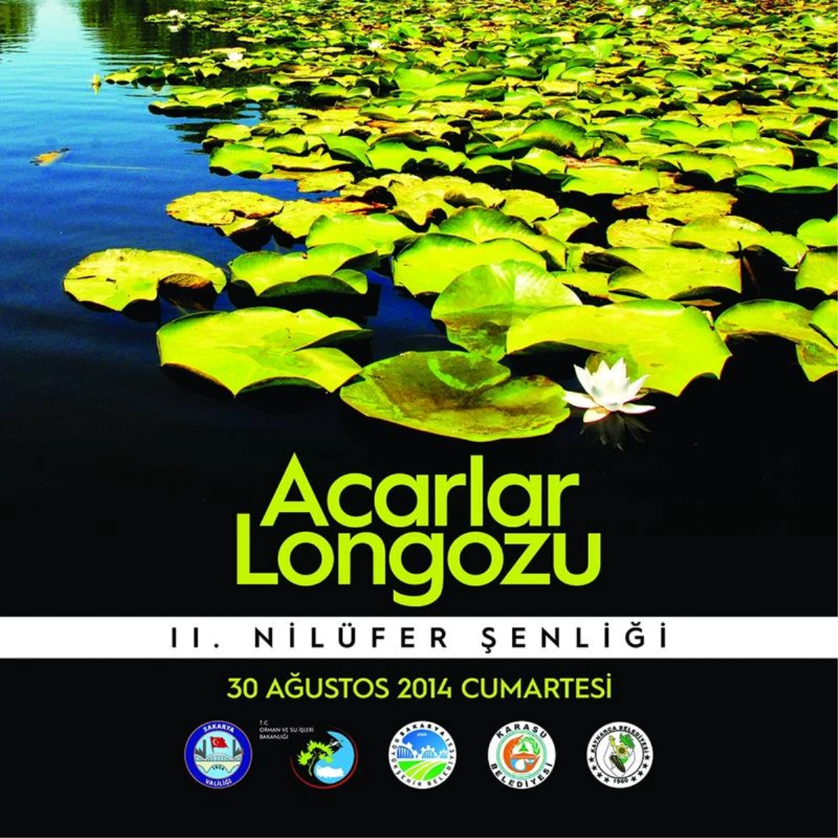 Acarlar Longozu 11. Nilüfer Şenliği Hazırlıkları Tamamlandı