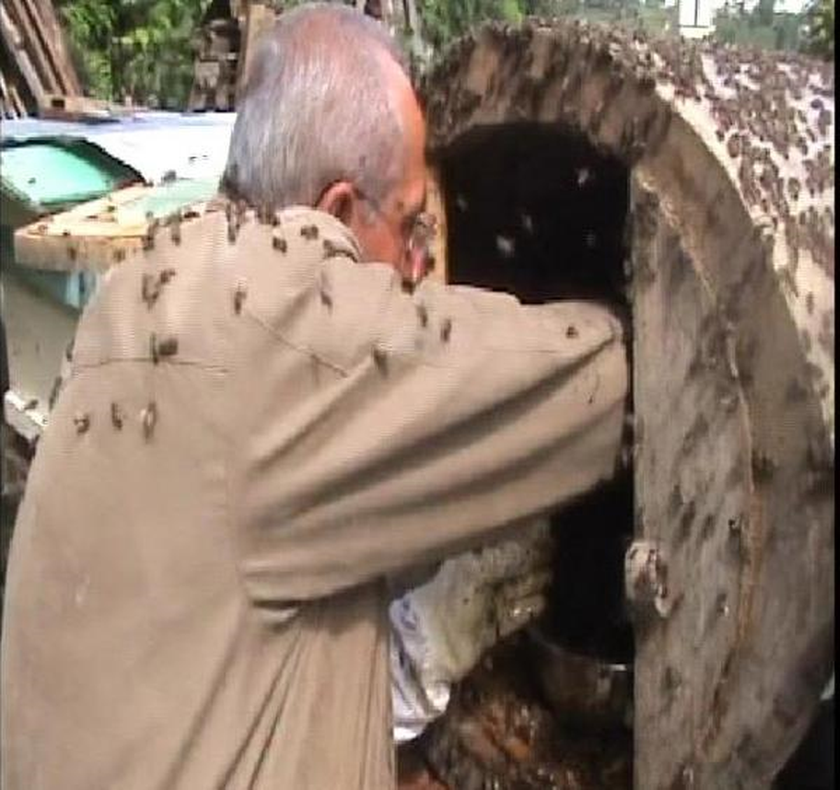 Arı Dolu Kovana Elini Soktu Bal Sağdı