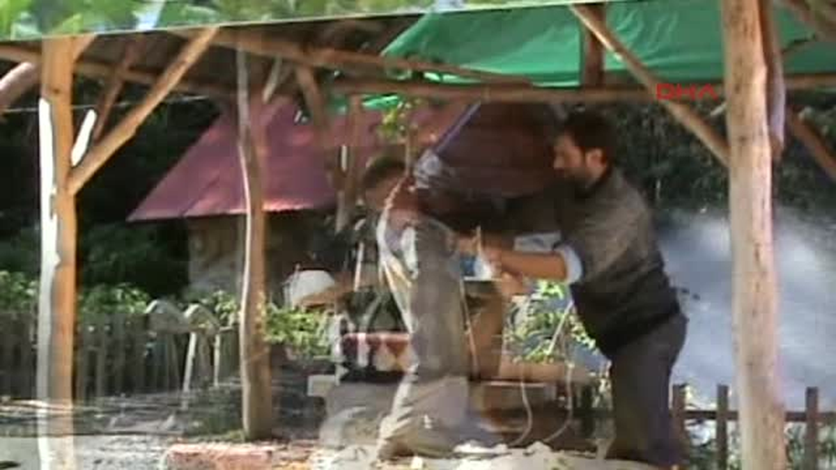 Arı Dolu Kovana Elini Soktu, Bal Sağdı