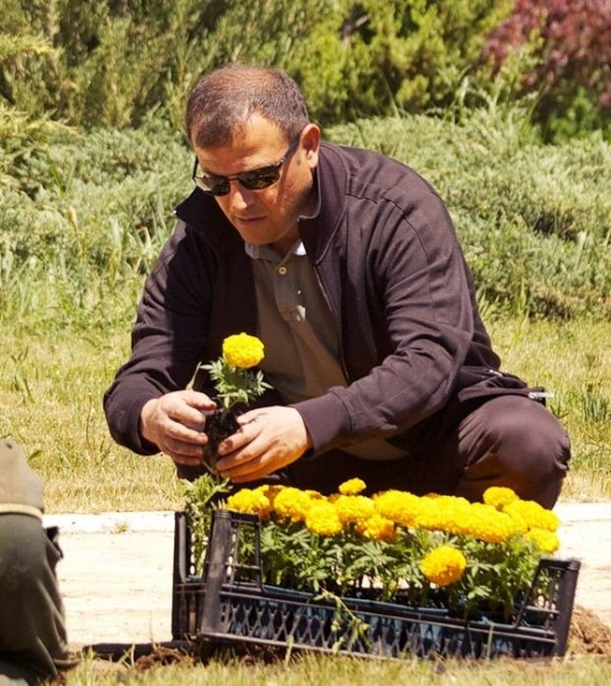 Bu da Dikey Bahçe
