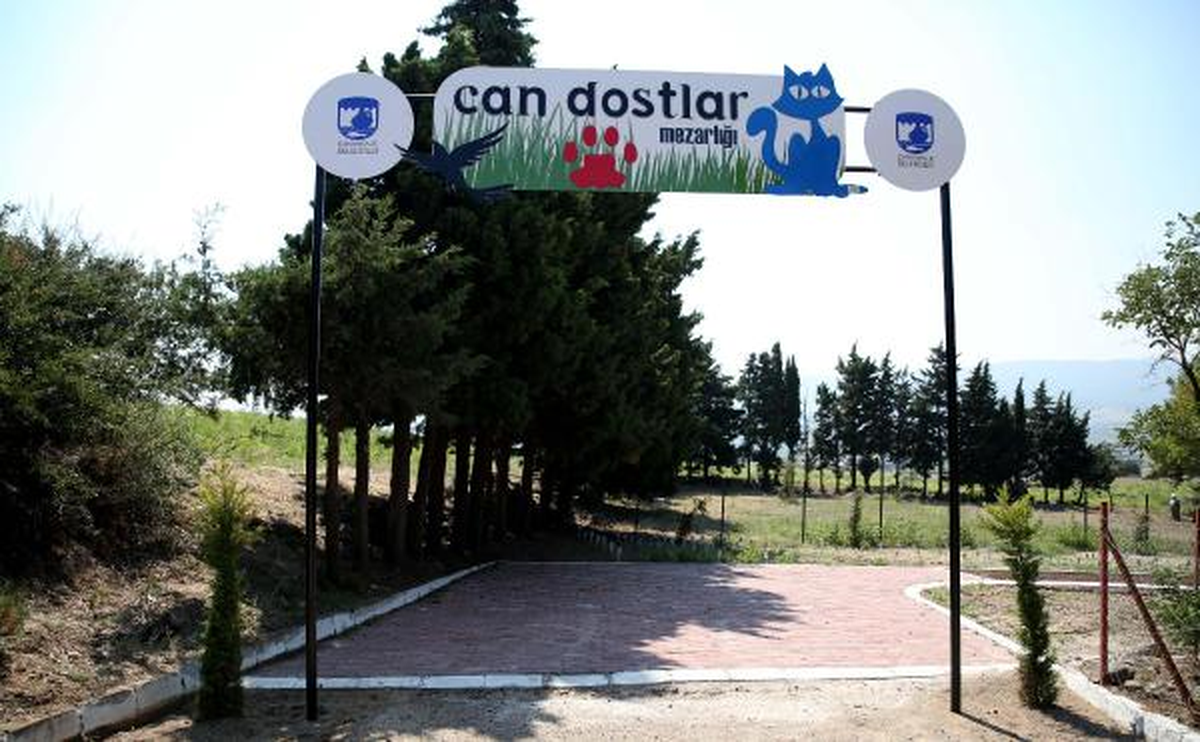 Çanakkale\'de Ölen Hayvanlara \'Can Dostlar\' Mezarlığı