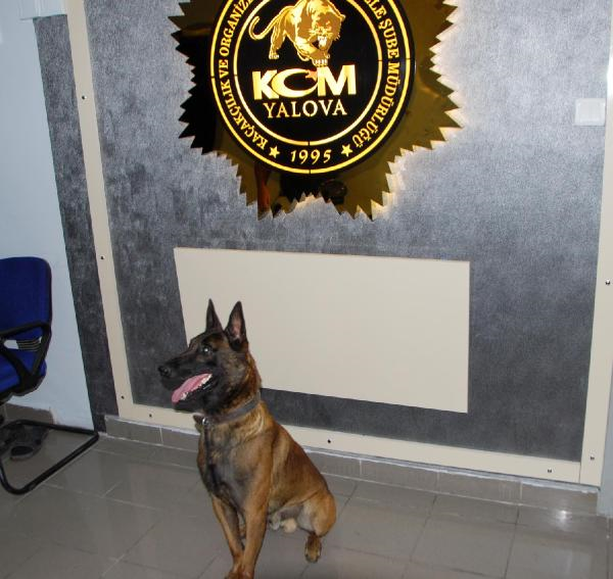 Gizlenen Esrarı, Eğitimli Köpek Hektor Ortaya Çıkardı