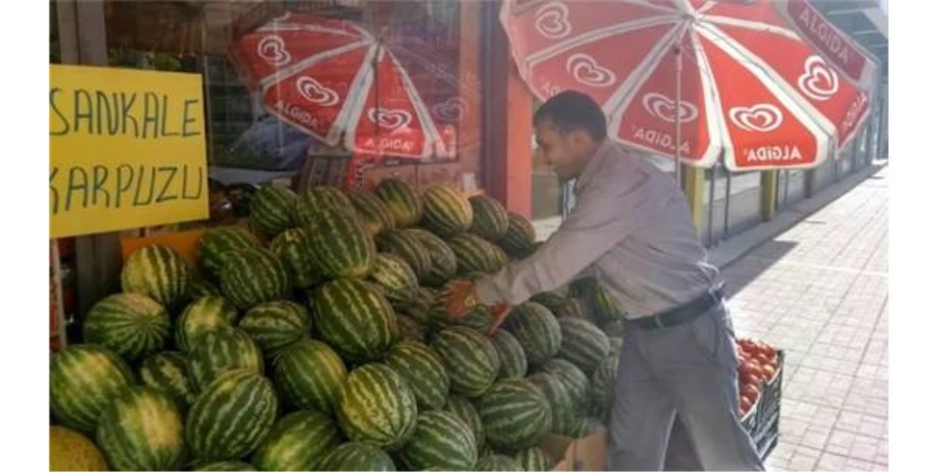 Hasankale Karpuzu Manavlarda Yerini Aldı