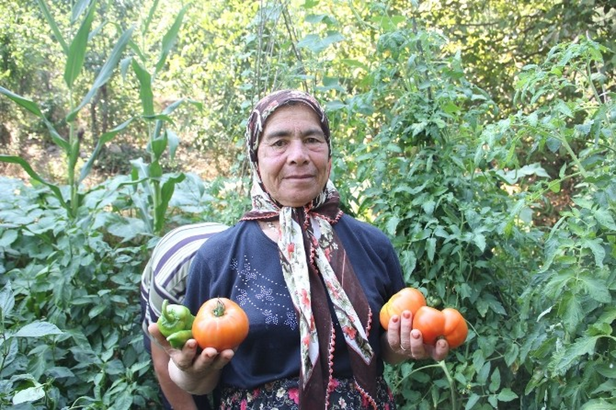 Kemer\'de Mermer Ocağı İsyanı