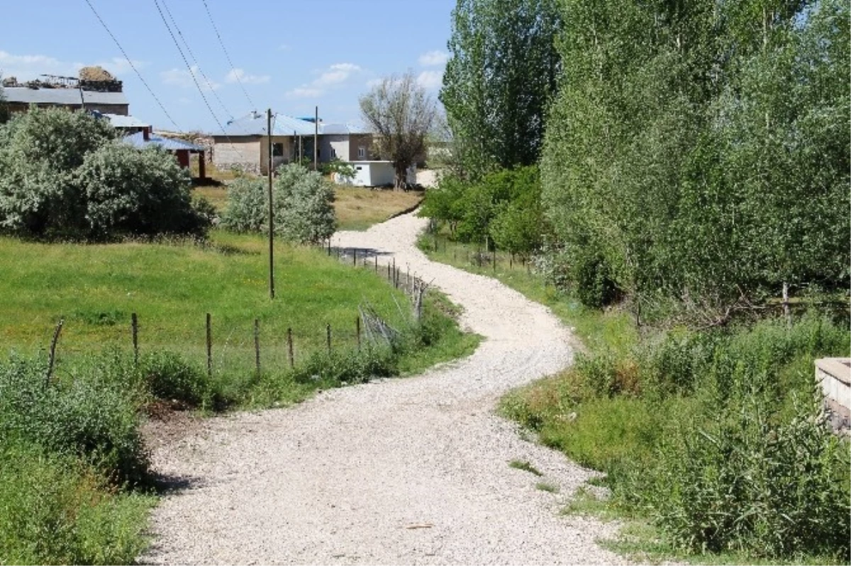 Tuşba Belediyesinden Hummalı Çalışma