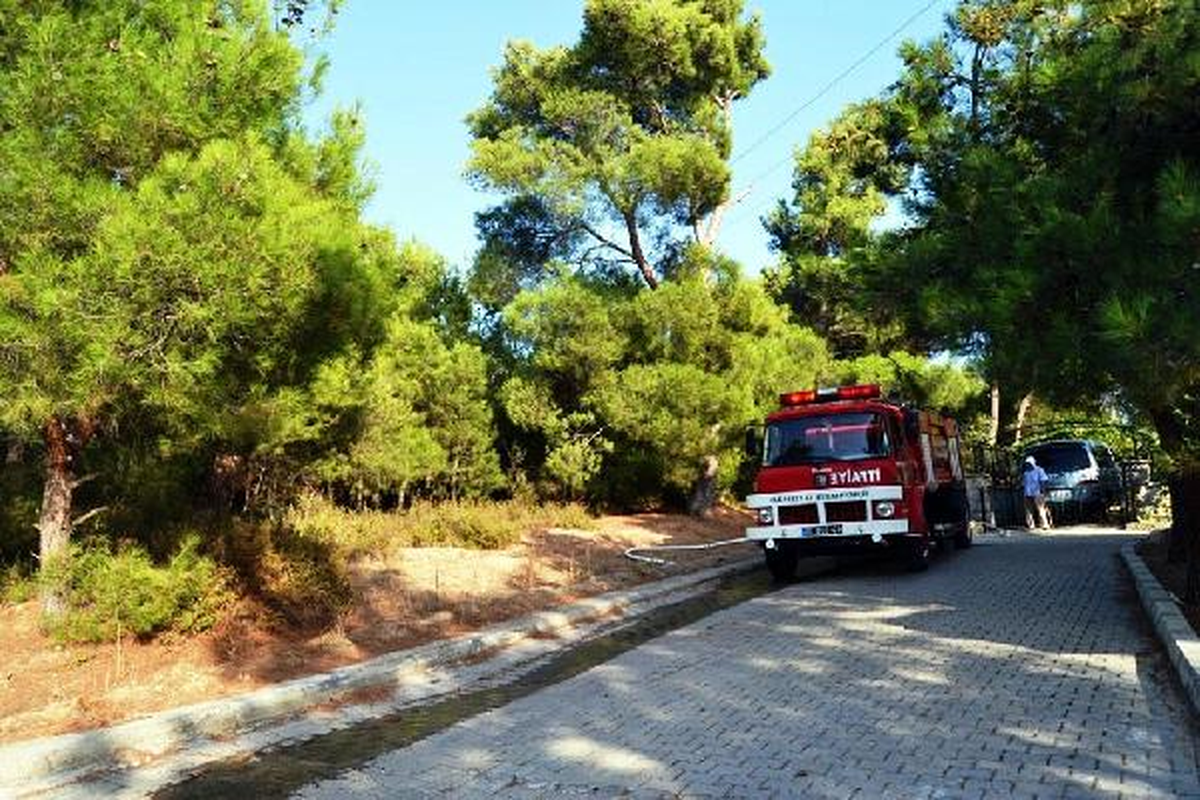 Ayvalık\'taki Orman Yangını Söndürüldü