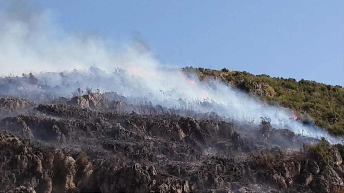 Burdur Bucak\'taki Orman Yangını Kontrol Altına Alındı