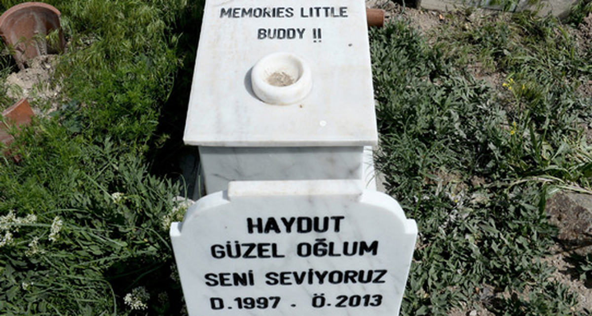 Çanakkale\'de Evcil Hayvanlar İçin Mezarlık Oluşturuldu