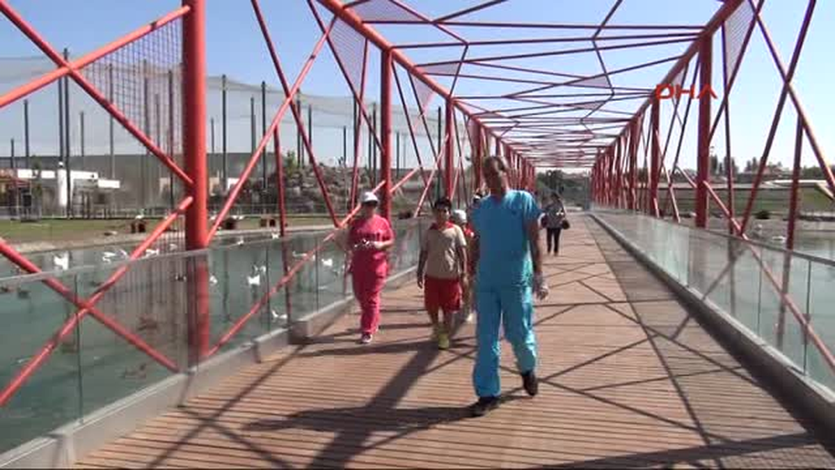 Helikopter Baraj Gölü Yerine Hayvanat Bahçesinin Göletinden Su Aldı, Kuşlar Telef Oldu