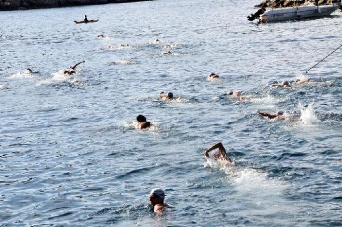 Kayseri 2014 Spor Festivali ve Açık Su Yüzme Yarışmaları