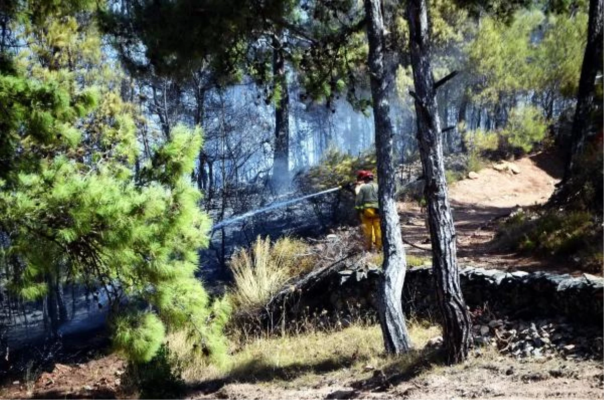 Milas\'ta Korkutan Yangın Kısmen Kontrol Altına Alındı