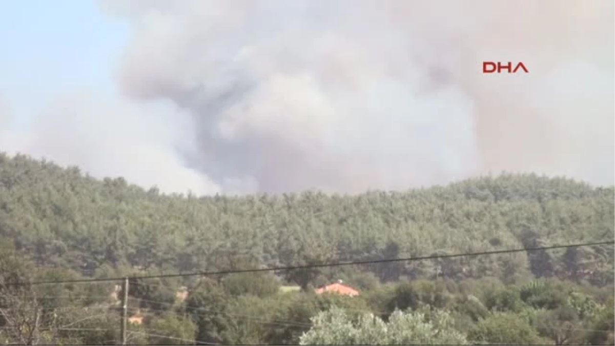 Milas\'ta Korkutan Orman Yangını