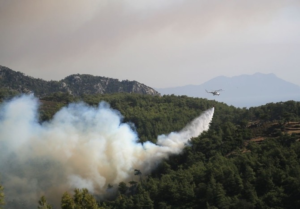 Milas\'taki Yangın, Santrali Tehdit Etti