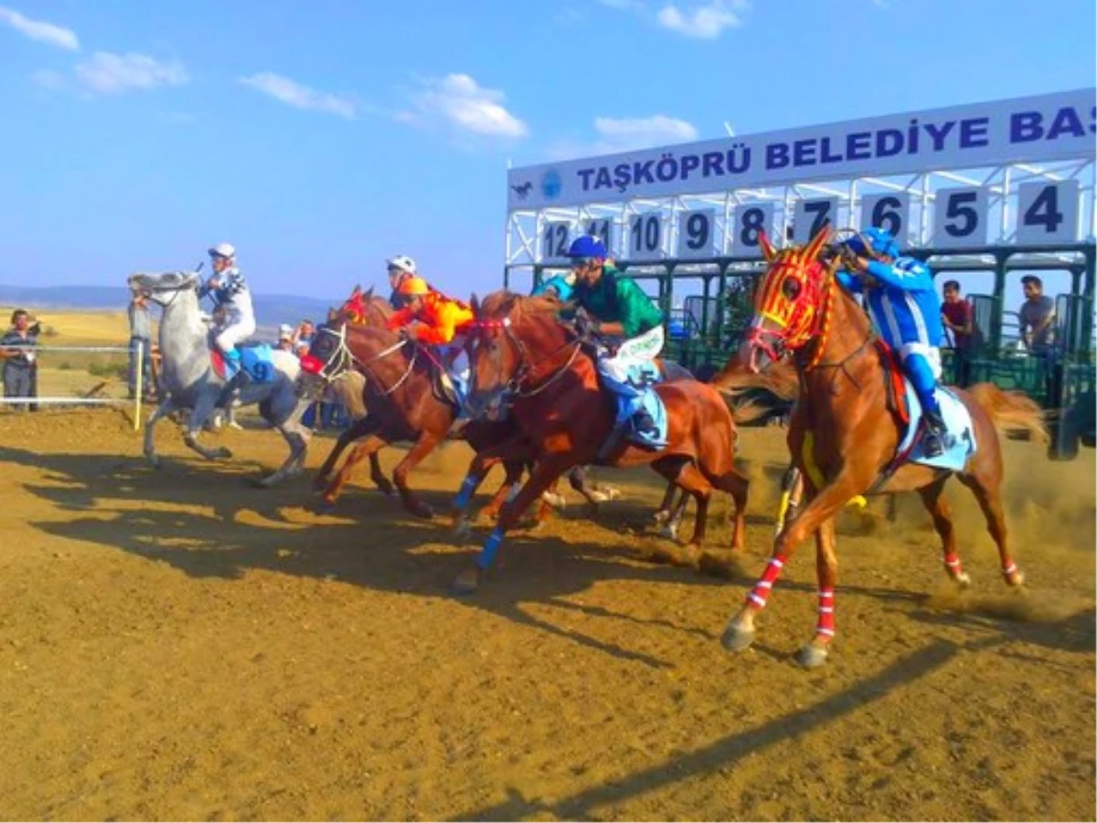 Osmancık Altın Kupayla Döndü