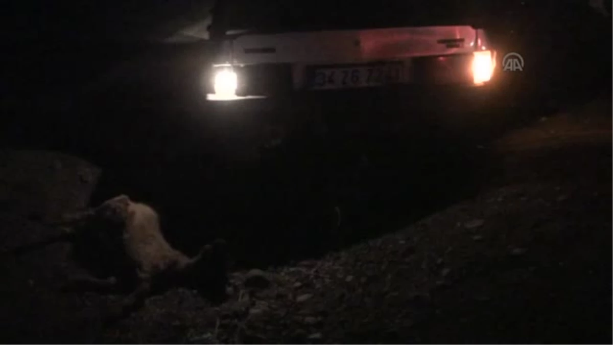 Otomobil koyun sürüsüne çarptı -