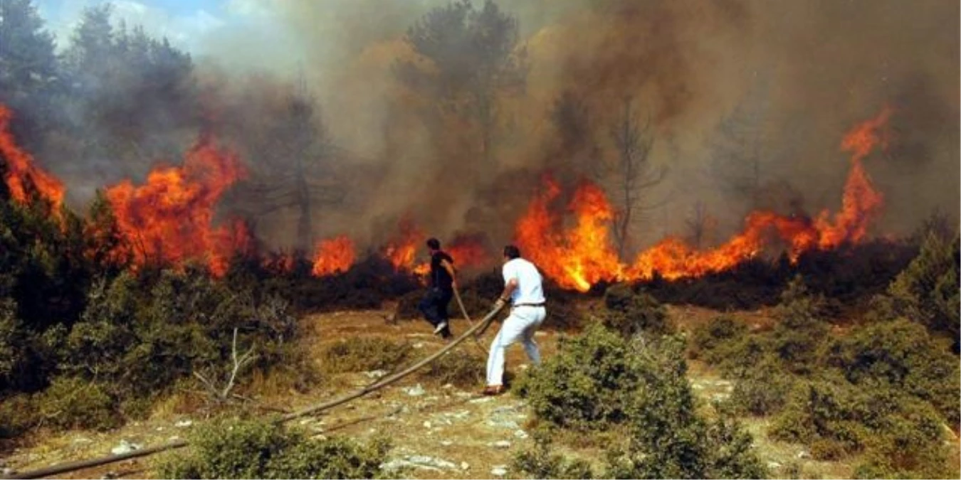 Palu\'da Orman Yangınları