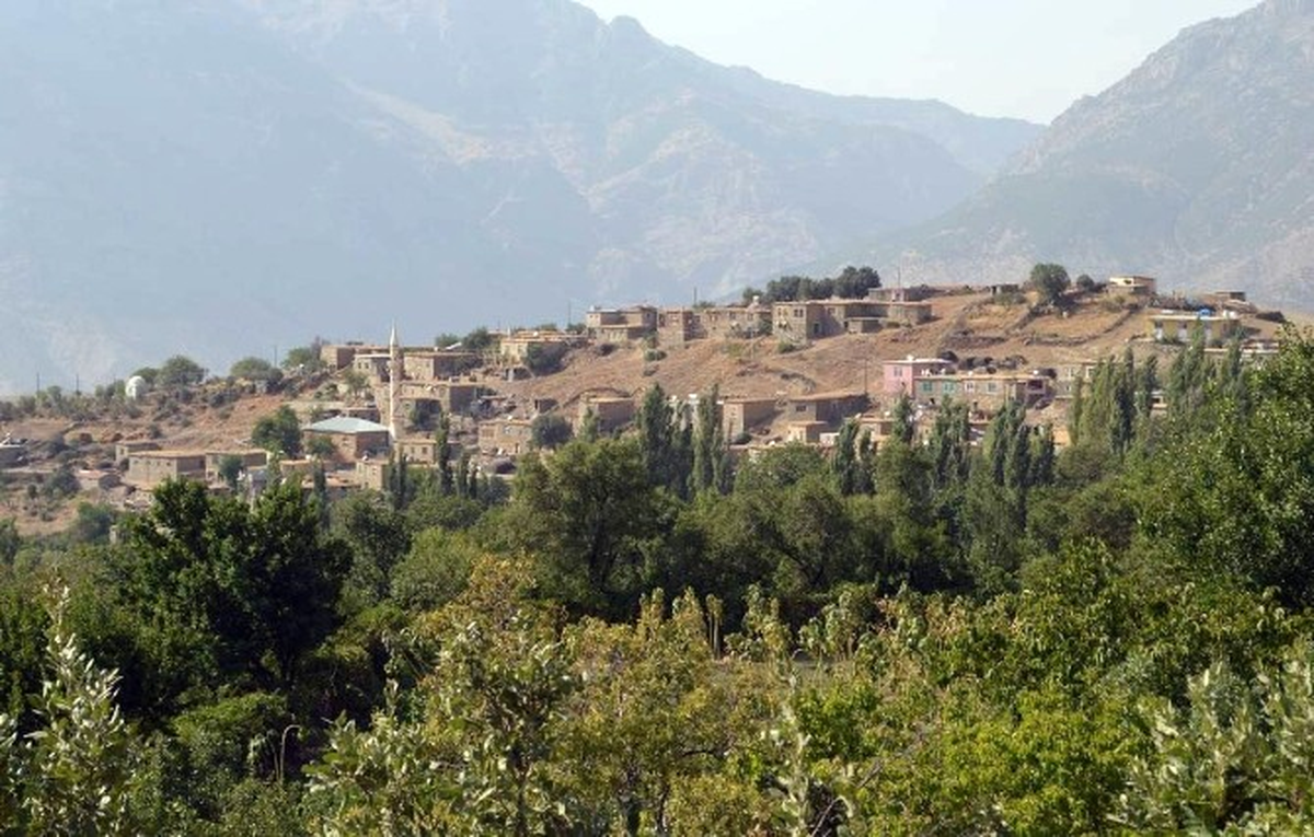 Siirt\'te 2 Kişi Kaçırıldı