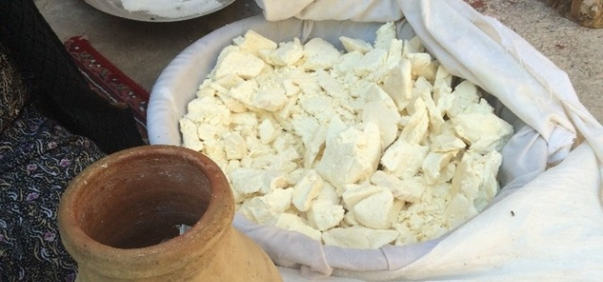 Tokat'ta Toprağın Altından Çıkan Lezzet