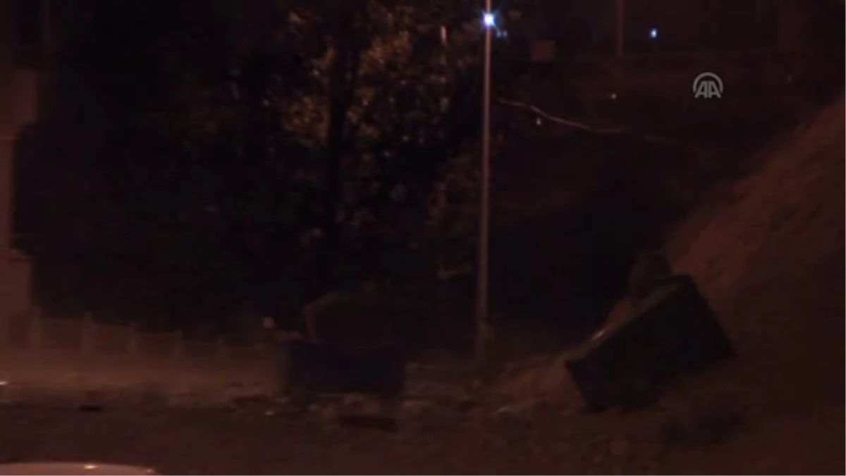 Tunceli'de Yaban Domuzları Şehre İndi