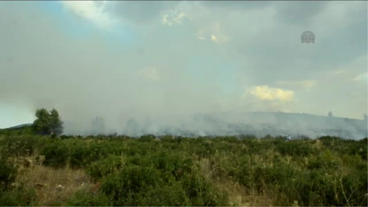 Muğla\'daki Orman Yangını Kontrol Altına Alındı