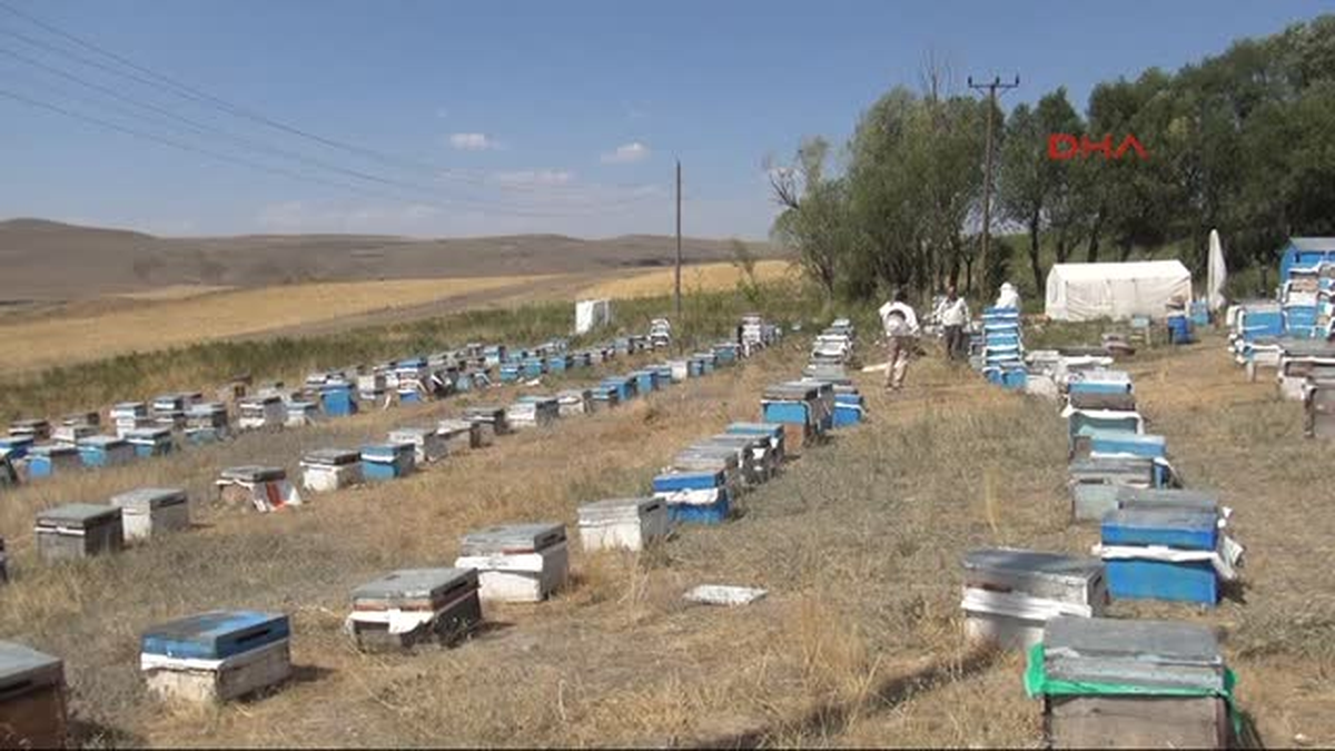 Çözüm Süreci Arıcılara Yaradı