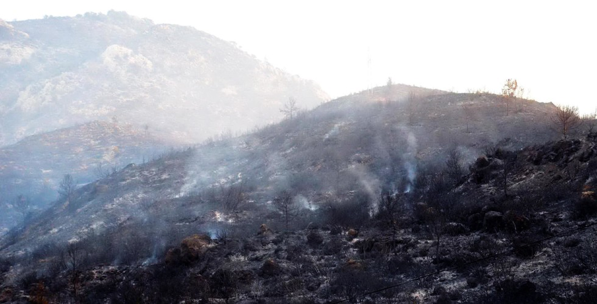 Muğla\'da çıkan Orman Yangını 18.5 saat sonra Kontrol Altına Alındı
