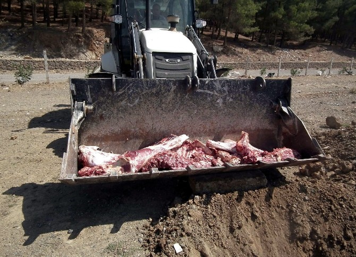 Gaziantep\'te 130 Kilo Sağlıksız Et İmha Edildi