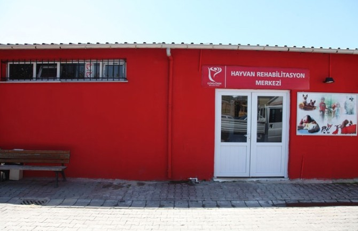Güngören Hayvan Rehabilitasyon Merkezi Yenilendi