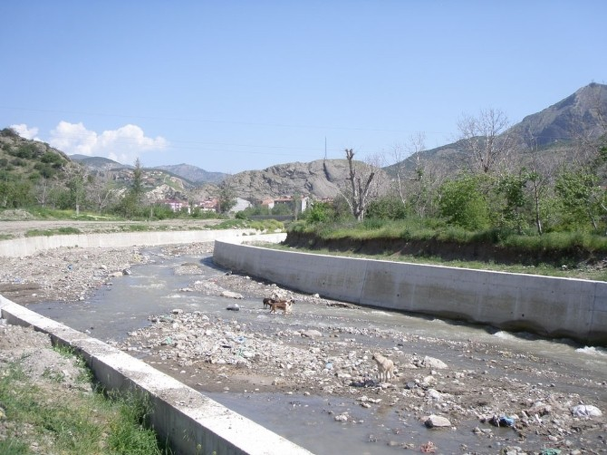 Ordu\'da Dereler Kontrol Altında Alındı