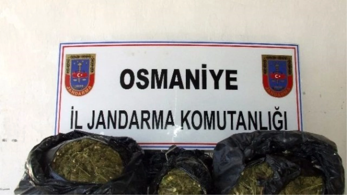 Osmaniye\'de Esrar Operasyonu