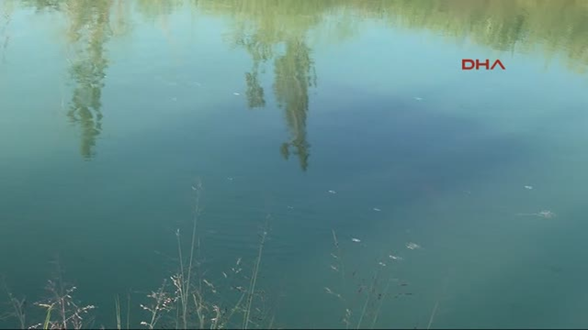 Adana\'da Otomobiliyle Sulama Kanalına Uçtu