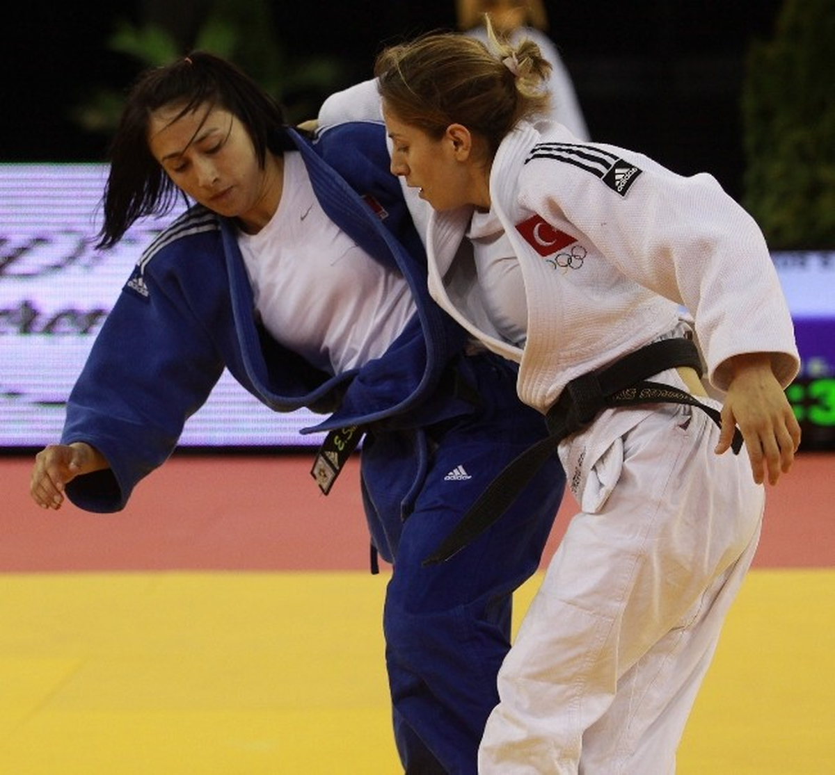 Dünya Büyükler Judo Şampiyonası Yarın Rusya\'da Başlayacak