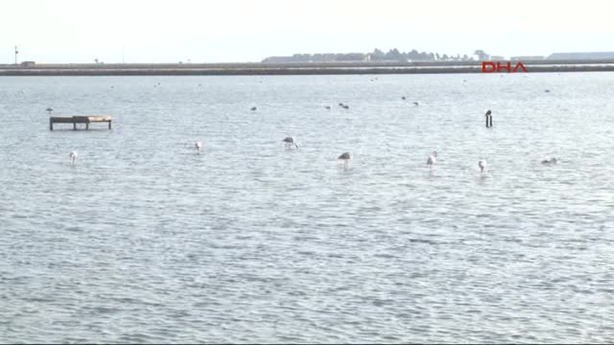 İzmir Kuş Cenneti Milli Park Oluyor